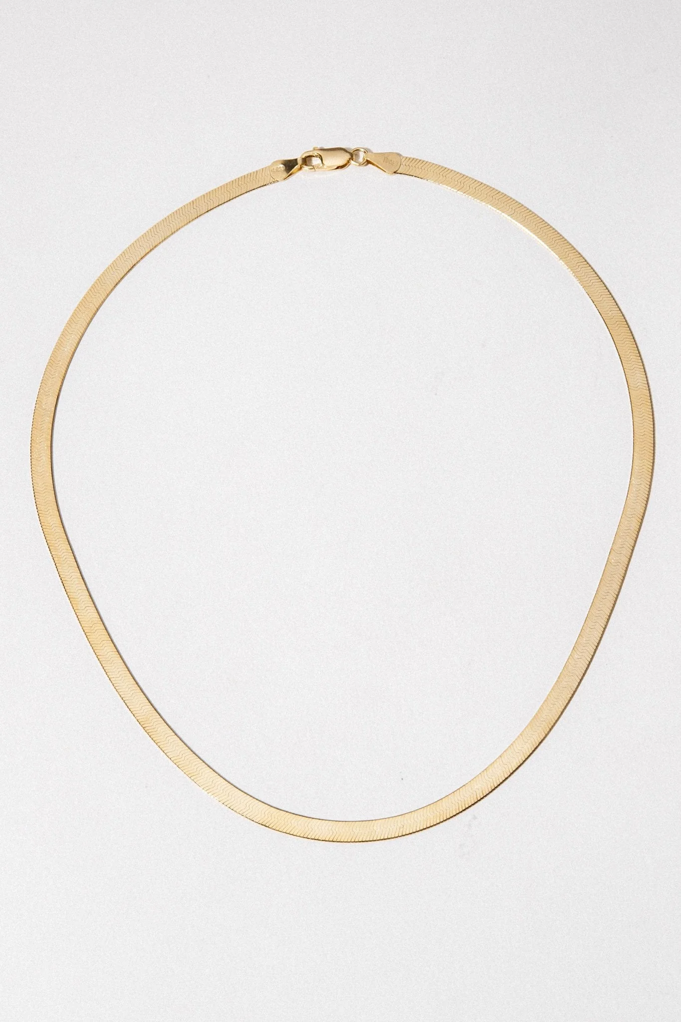 Elegant Snake Chain Necklace
